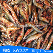 HL002 frozen new season shrimp